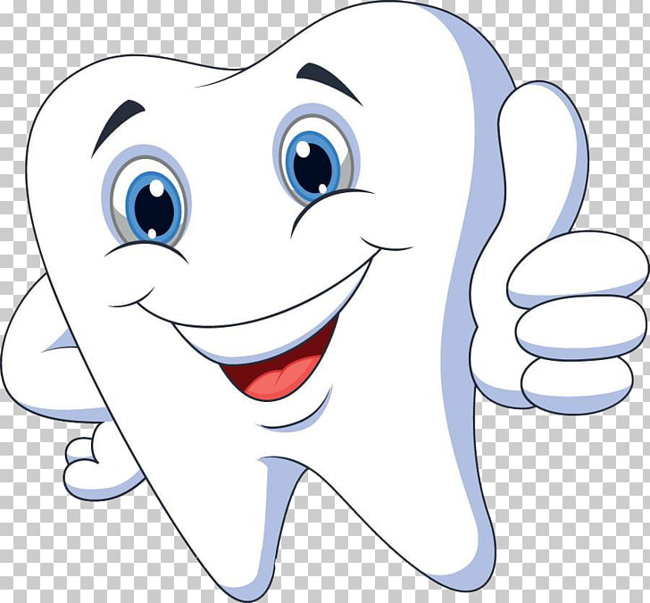 Cartoon Tooth pathology , Healthy teeth, white tooth.