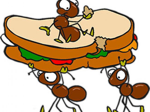 Ant Cliparts Free Download Clip Art.