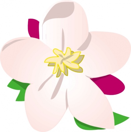 Apple Blossom clip art Free Vector.