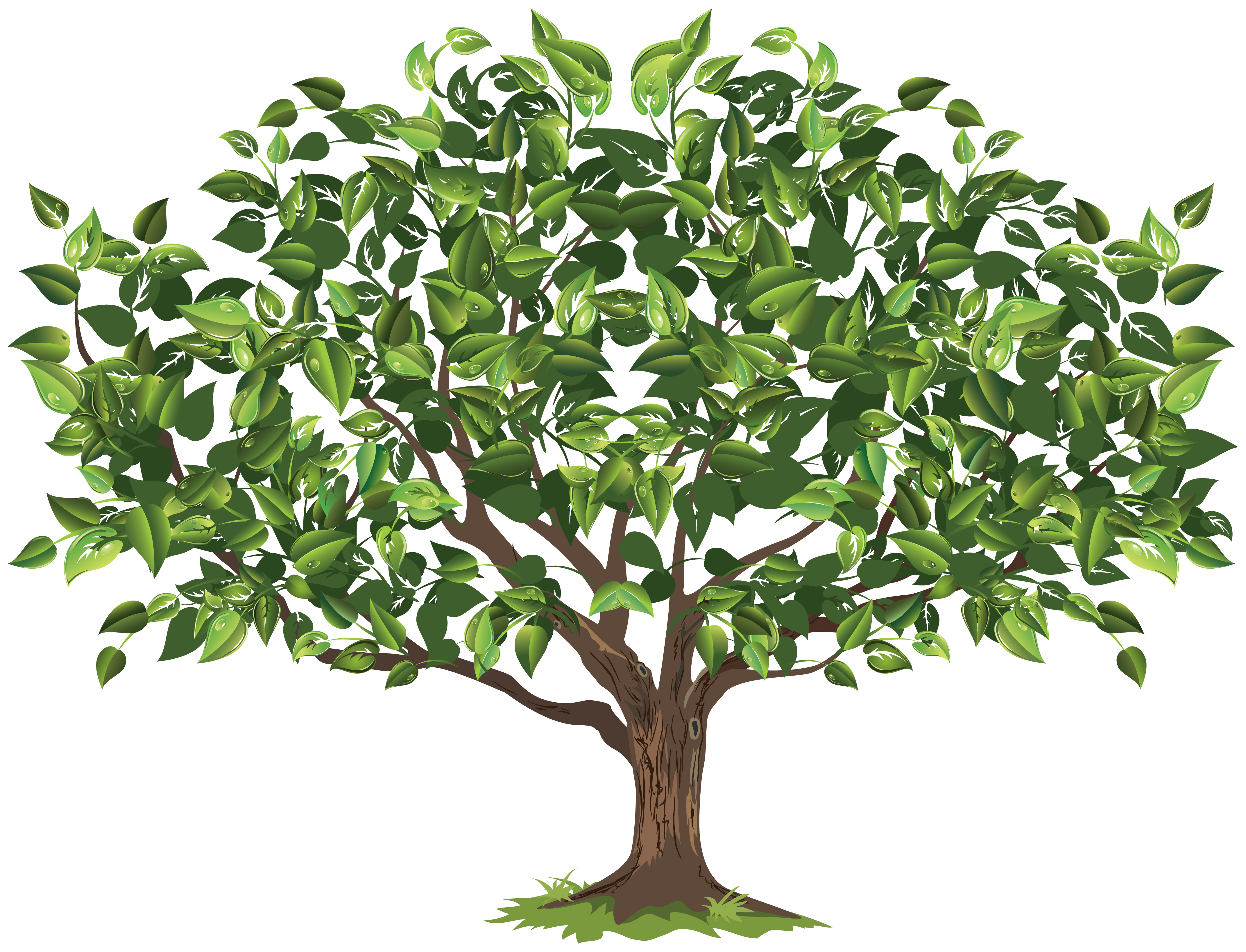 Apple Tree Seedling Clipart.