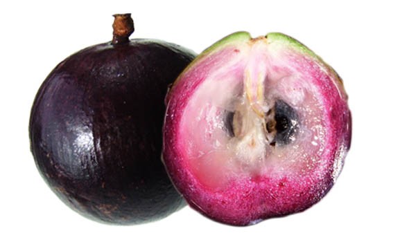 Star apple clipart.