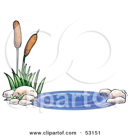 Clipart of a Cat Tail Aquatic Plant.