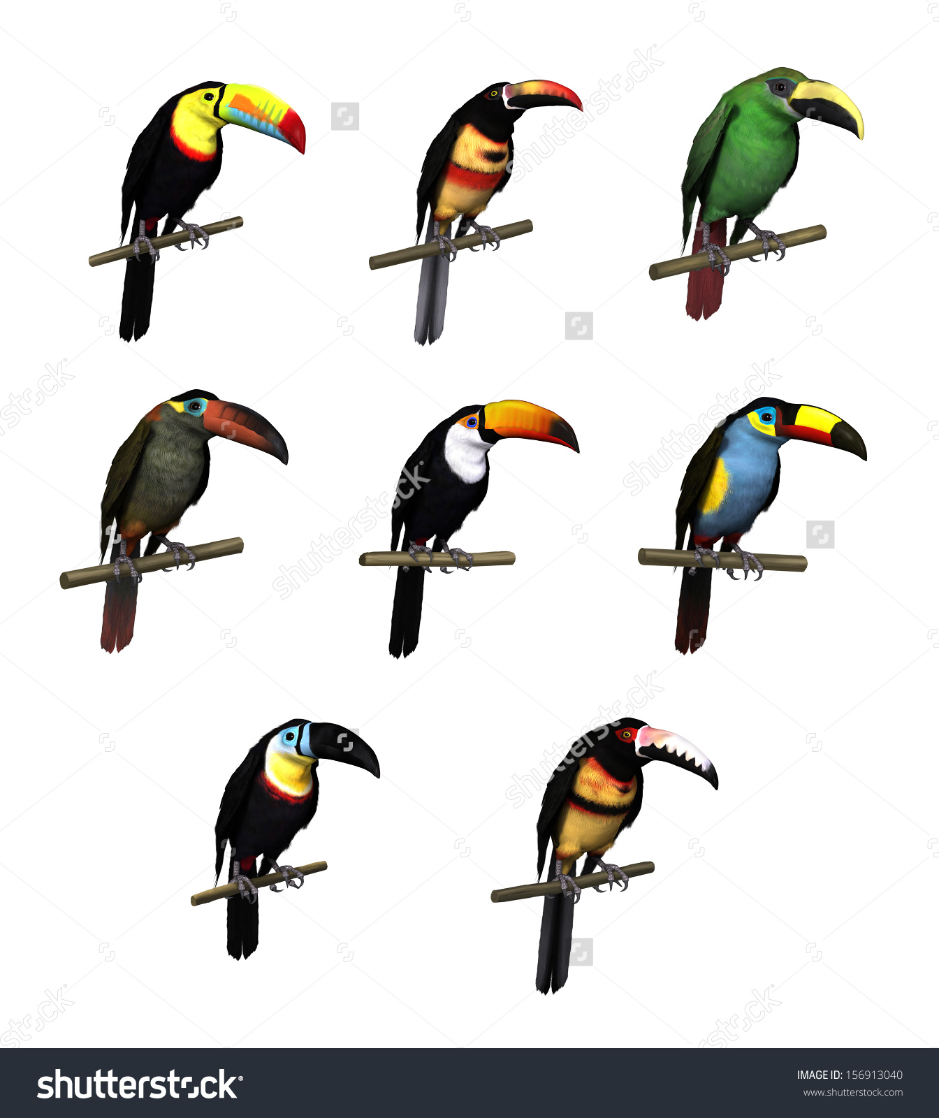 3d Render Toucan Species Keelbill Toucan Stock Illustration.