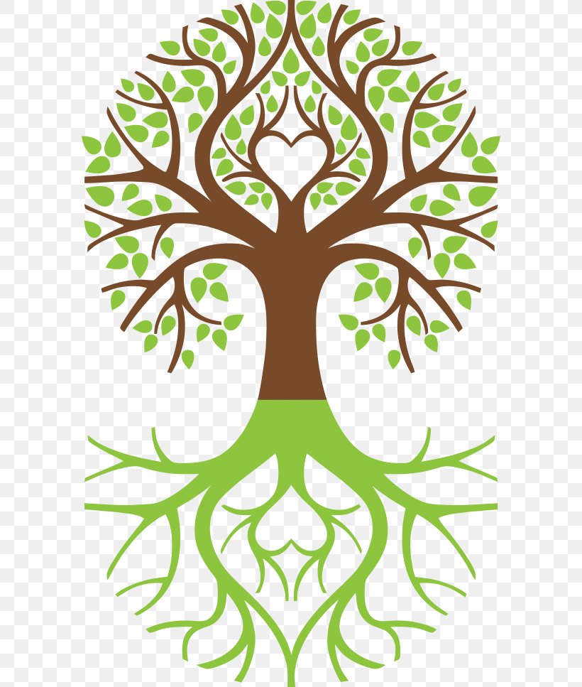 Tree Of Life Symbol Weeping Willow Arborvitae, PNG.