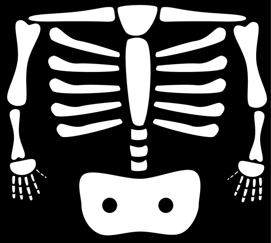 X Ray Clipart Png.