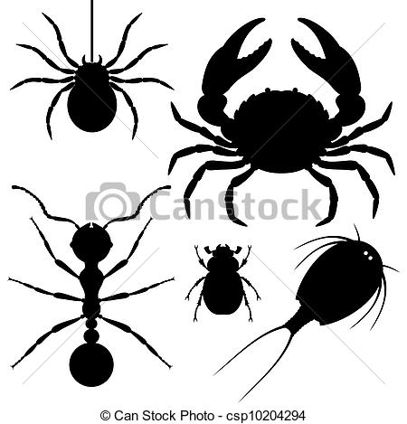 Arthropods Clipart.