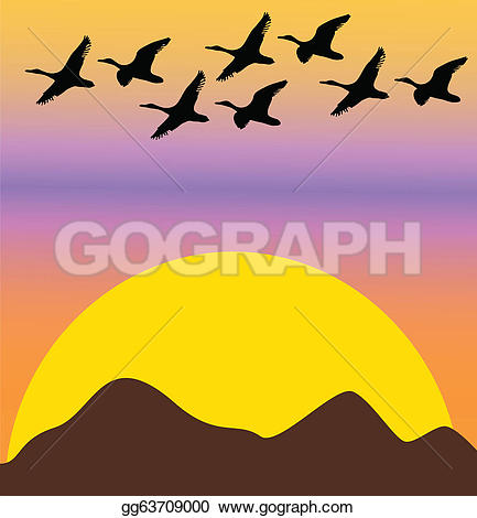 Avian Clip Art.