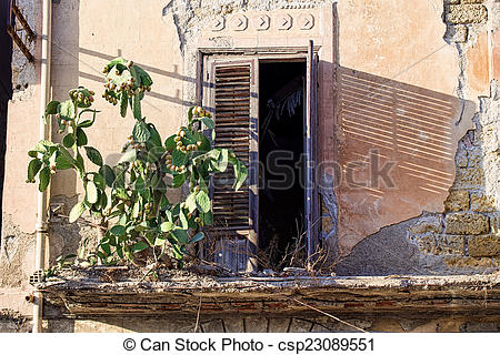 Stock Images of Plant of prickly pear.