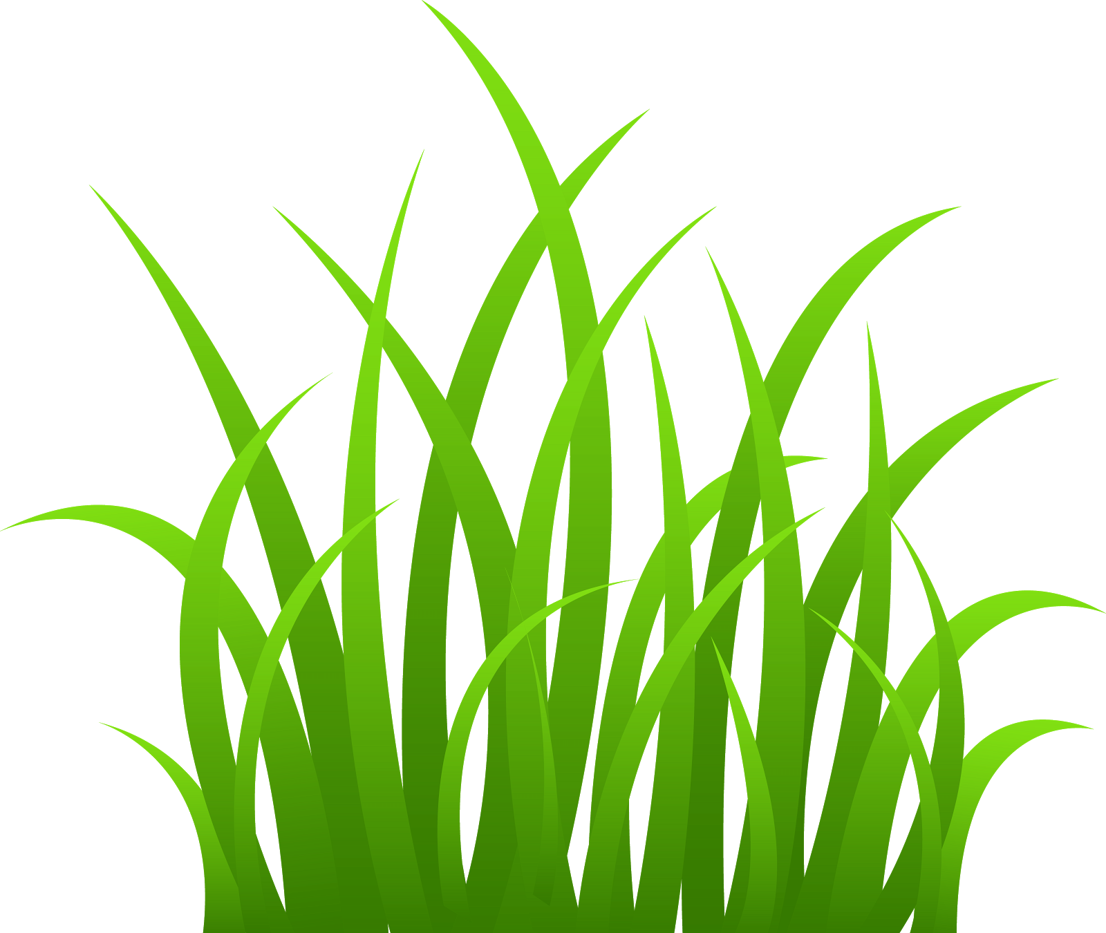 Grass plant clipart.