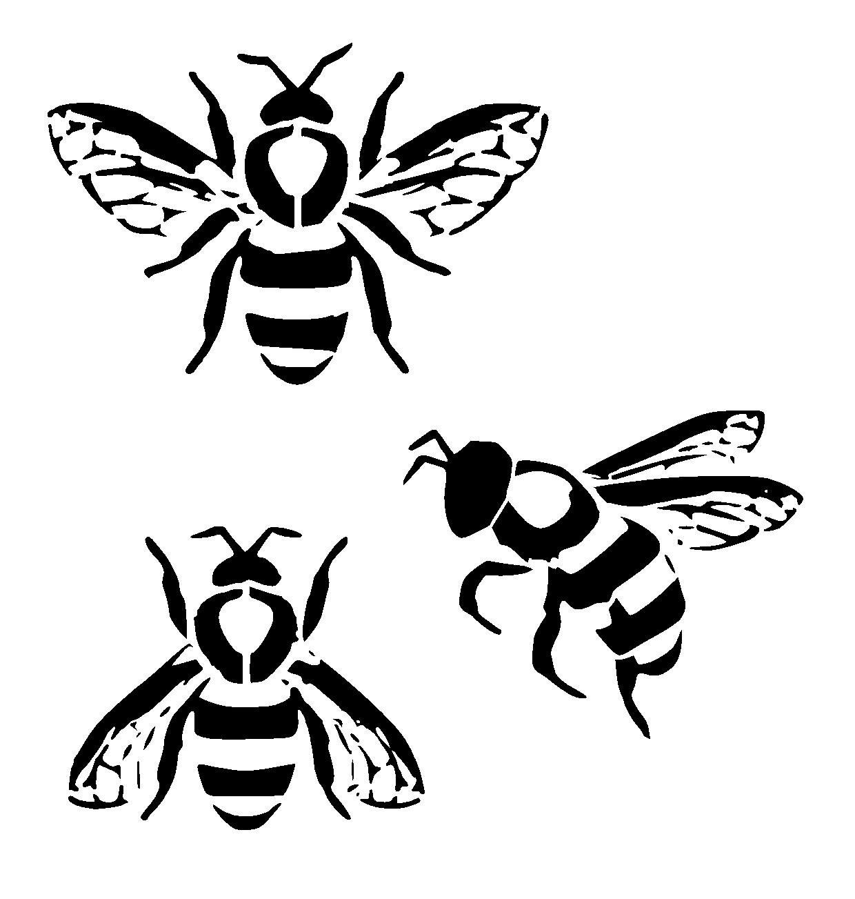 Realistic Bee Drawings Clip Art Black And White Designs Free Easy.