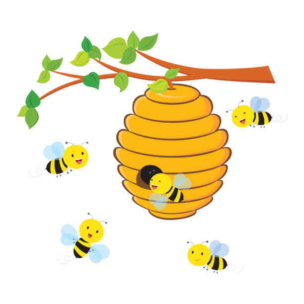 Best Beehive In Tree Illustrations, Royalty.