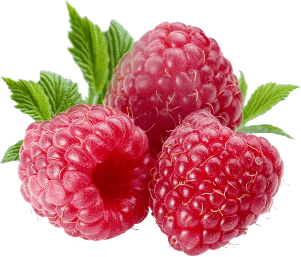 Download Free png berries png file.