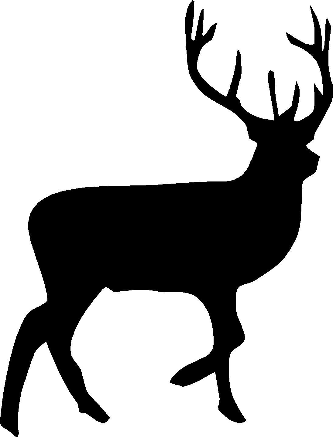 Free Big Buck Cliparts, Download Free Clip Art, Free Clip.