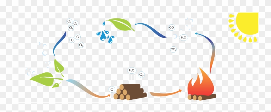 How Is Biomass Fuel A Green Source Of Energy Clipart (#2400491.