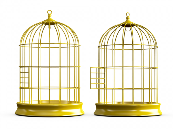 Bird Cagetransparent png image & clipart free download.