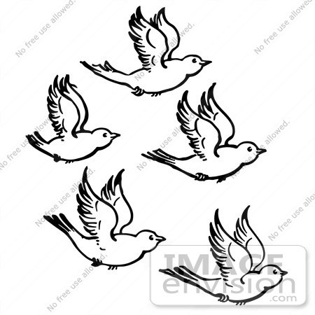 Birds Flying Clipart Black And White.