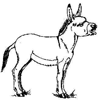 Mule clipart black and white Transparent pictures on F.