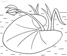 2456 Lily free clipart.