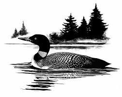 Image result for loon clipart black and white.