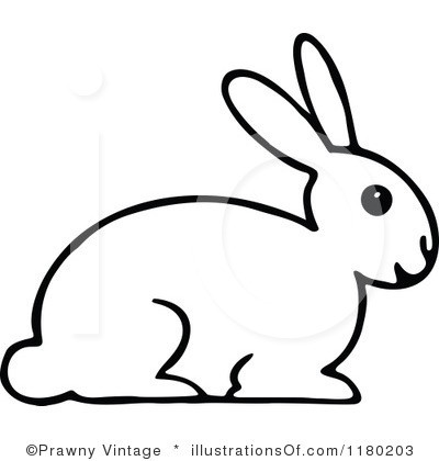 Rabbit Clipart Black And White.