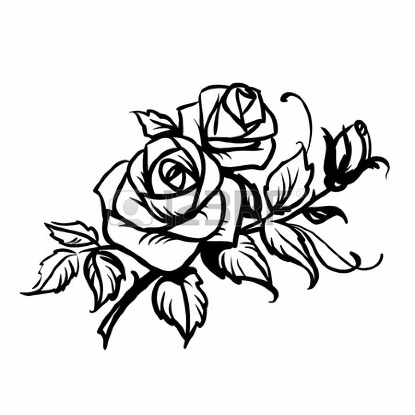 Black And White Pictures Of Roses.