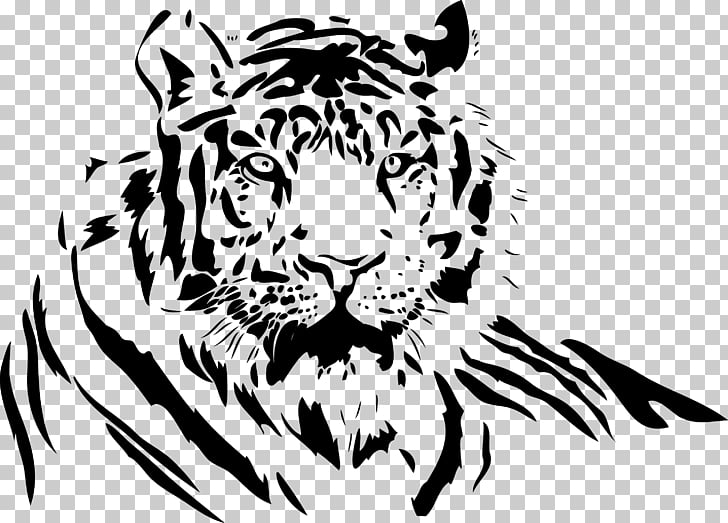 White Tiger Drawing TIGER PNG Clipart Free Cliparts UIHere.