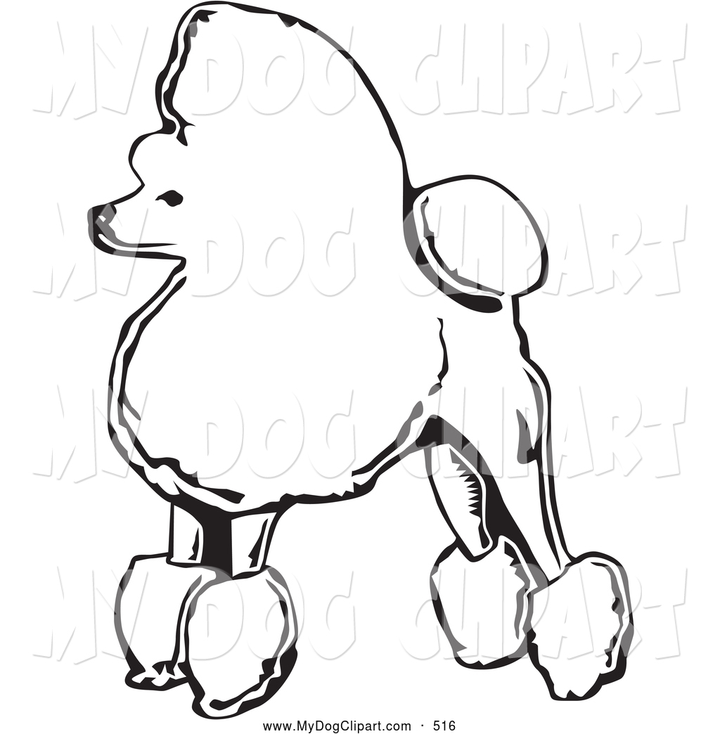 Clip Art of a Cute and Fancy Toy Poodle Dog Standing in.