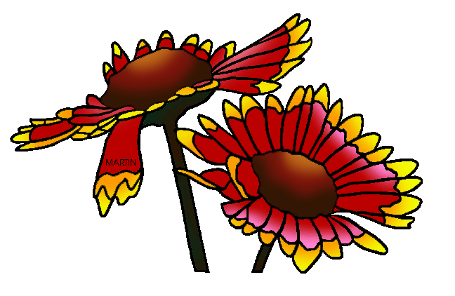 Blanket Flower Clip Art.