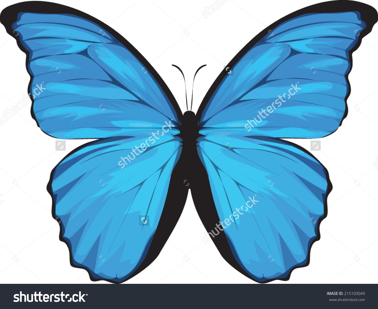 Butterfly Clip Art Species Blue Morpho Stock Vector 215103049.