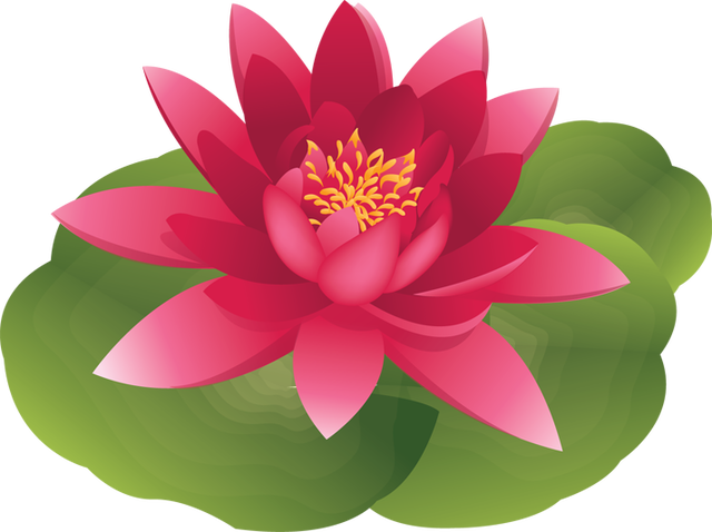 Water lily graphics.