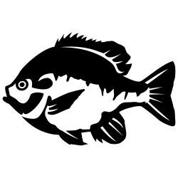 Bluegill 2 Wall Decal.