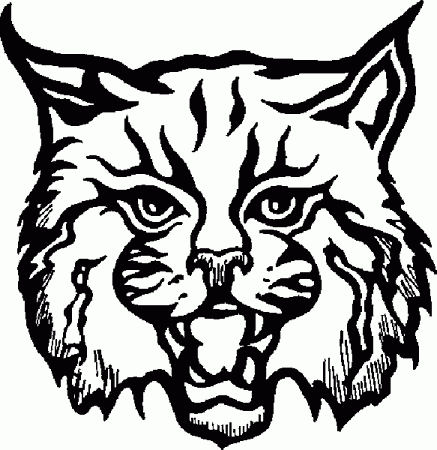 Bobcat clipart draw, Bobcat draw Transparent FREE for.