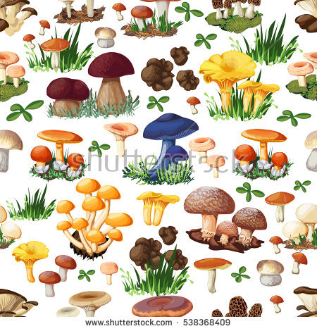 Suillus Stock Photos, Royalty.