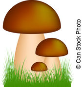 Boletus Illustrations and Clip Art. 1,200 Boletus royalty free.