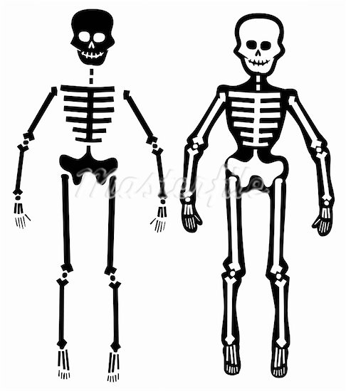 Bones clipart simple, Bones simple Transparent FREE for.