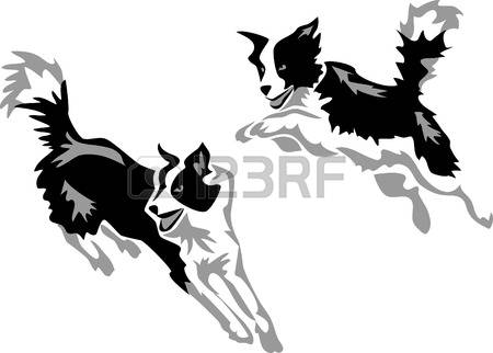 228 Border Collie Cliparts, Stock Vector And Royalty Free Border.