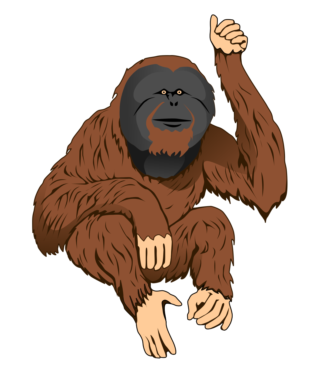 Free Orangutan Clip Art.