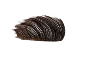 200+) Hair Png.