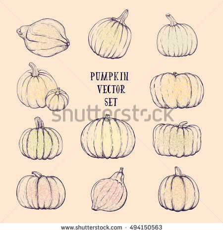 Set Pumpkin Vegetable Vector Clip Art Stock Vector 472726438.