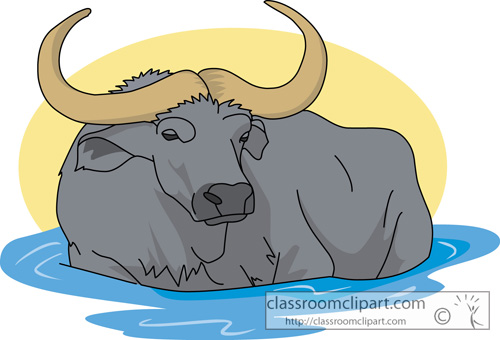 Buffalo clip art free clipart images.