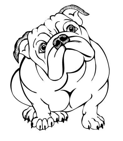 English bulldog clipart 6 » Clipart Station.