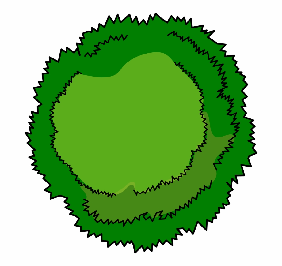 Bushes Clipart Tree Top Cartoon Tree Top View.