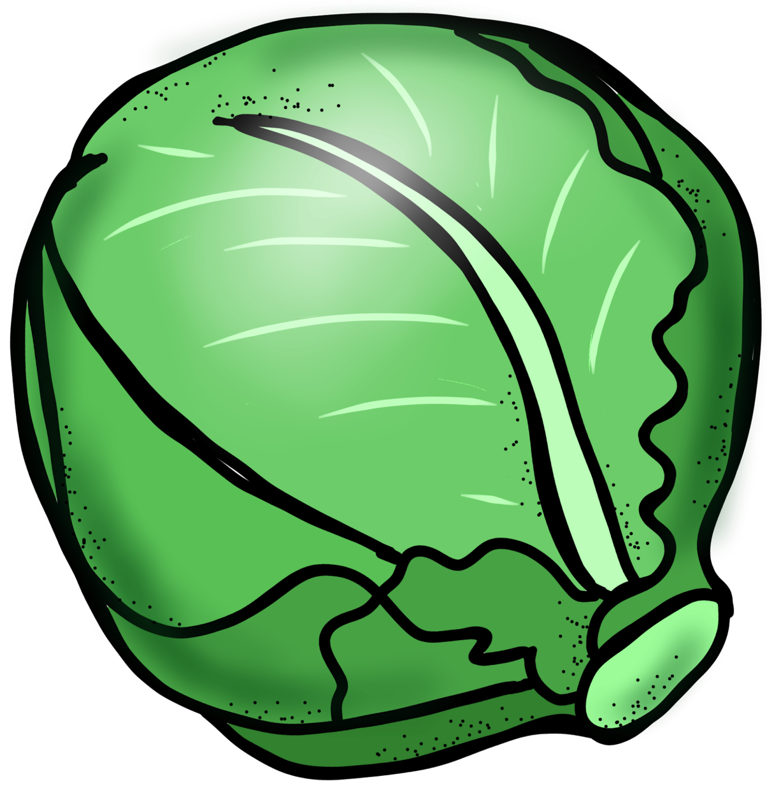 Cabbage Clipart.