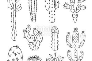 Cactus outline clipart 2 » Clipart Station.