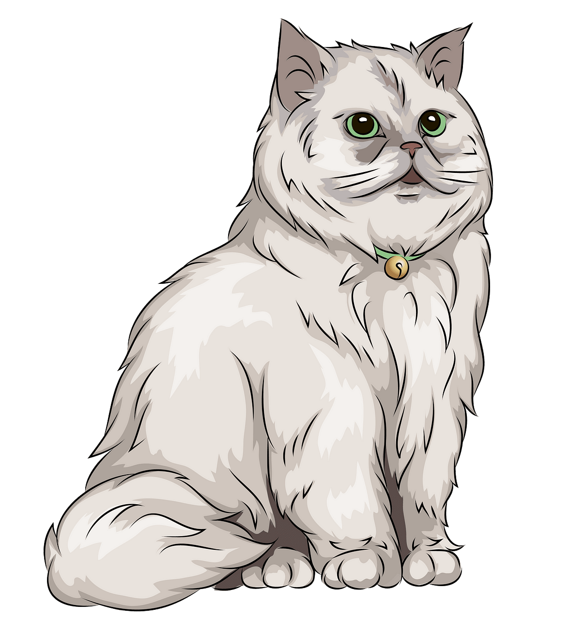 Persian Cat clipart. Free download..