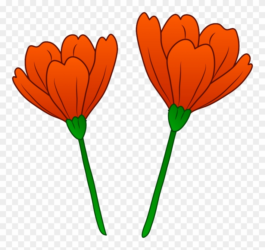 Picture California Poppy Clipart.