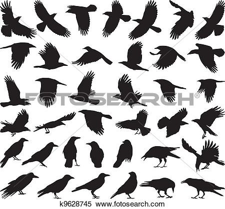 Clipart of Bird carrion crow k9628745.