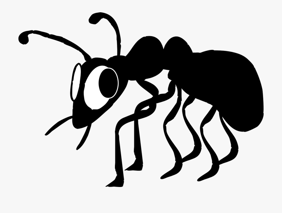 Ant Clipart Small Animal.