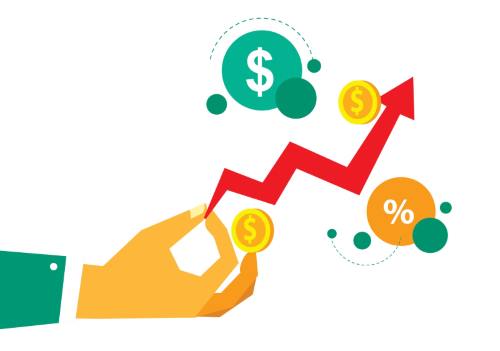 Cash Flow or Growth ?.