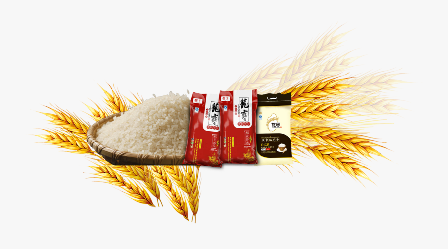 Rice Gadu Common Barley.